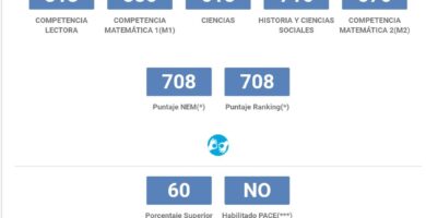 cuanto tiempo tengo para dar la psu en chile