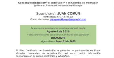 cuanto tiempo tiene el administrador para enviar el acta
