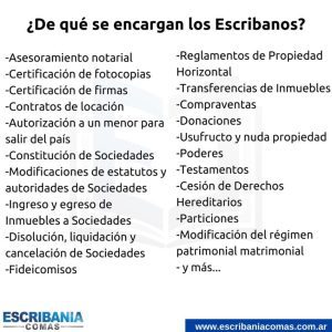 ¿Cuántos años dura la carrera de Escribano? cuantos-anos-dura-la-carrera-de-escribano