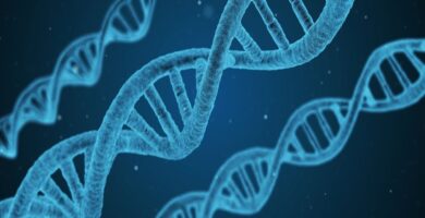 Existe una aplicación para saber cómo será tu hijo 11 datos geneticos