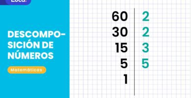descomponer numeros