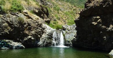 donde comprar carpas manzano en punta arenas chile