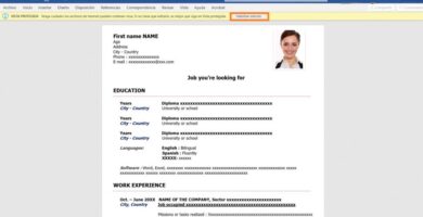 donde encontrar ejemplos de curriculum vitae en word