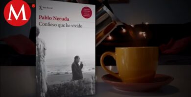 donde encontrar el resumen por capitulos de confieso que he vivido