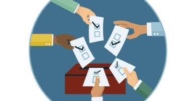 donde encontrar informacion sobre por quien votar en la tercera