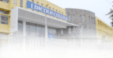 donde encontrar la lista de utiles de lincoln college la florida