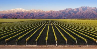 donde encontrar paquetes todo incluido para viajar a mendoza