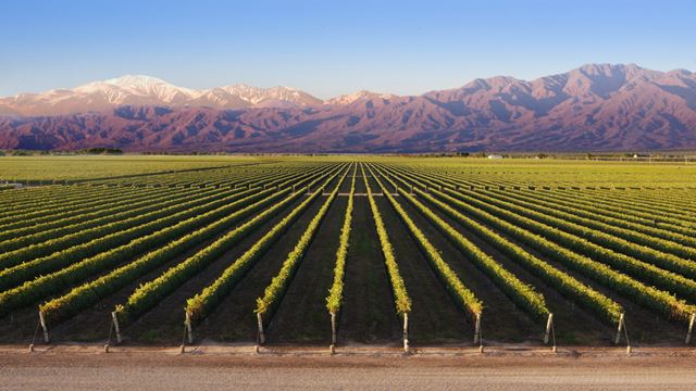 Dónde encontrar paquetes todo incluido para viajar a Mendoza 1 donde encontrar paquetes todo incluido para viajar a mendoza