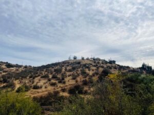 Dónde encontrar terrenos en La Serena con luz y agua disponibles donde-encontrar-terrenos-en-la-serena-con-luz-y-agua-disponibles