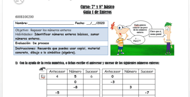 donde encontrar una guia de ejercicios de numeros enteros para 7 basico