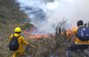 Qué está causando los incendios forestales en Chile incendios-forestales