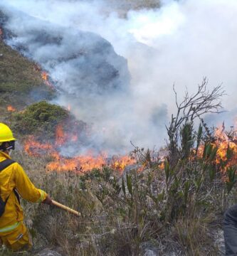 incendios forestales