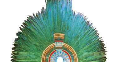 Qué es un gallináceo con penacho de plumas en la cabeza 13 penacho plumas