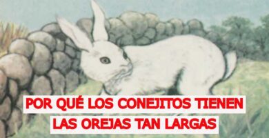 por que los conejos tienen las orejas largas