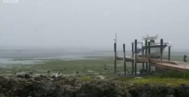 por que se retira el mar en italia causas y efectos