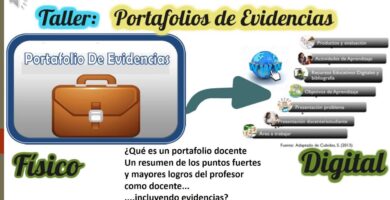 portafolios docentes