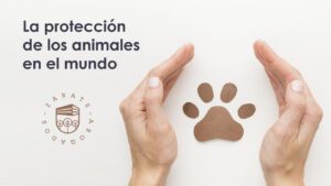 proteccion-animal