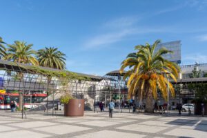 Cómo obtener licencia de conducir clase C en Puente Alto puente-alto