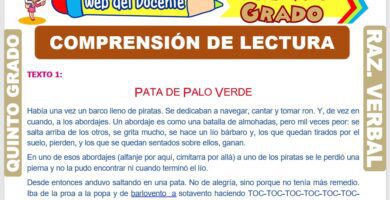 que actividades de comprension lectora hay para quinto grado