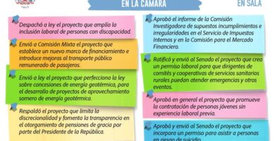 Qué beneficios ofrece el gobierno chileno para personas con discapacidad 29 que beneficios ofrece el gobierno chileno para personas con discapacidad