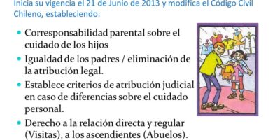 que dice la ley chilena sobre la igualdad de los hijos