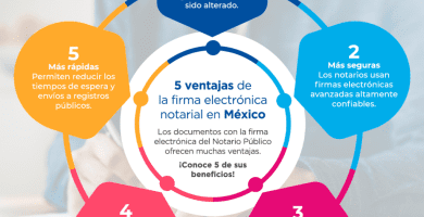 que emite el notario