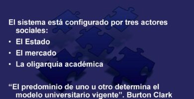 que es el modelo de educacion superior de burton clark