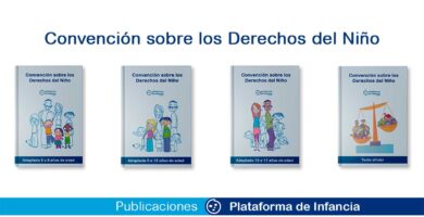 que es la convencion sobre los derechos del nino y cuales son sus principios