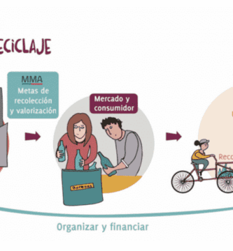 que es la ley rep en chile y como funciona