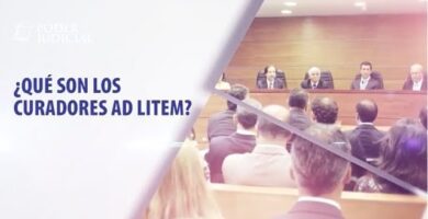 que es un curador ad litem en los tribunales de familia de chile