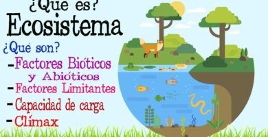 Qué es un ecosistema con elementos bióticos y abióticos 15 que es un ecosistema con elementos bioticos y abioticos