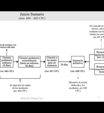 que es un juicio sumario segun el codigo de procedimiento civil chileno