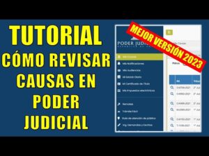 Qué es una causa X en el Tribunal de Familia en Chile que-es-una-causa-x-en-el-tribunal-de-familia-en-chile