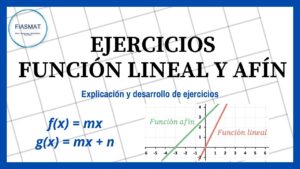 Qué es una función lineal y afín Guía para Primero Medio que-es-una-funcion-lineal-y-afin-guia-para-primero-medio