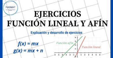 Qué es una función lineal y afín Guía para Primero Medio 6 que es una funcion lineal y afin guia para primero medio