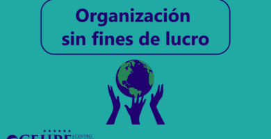 que es una institucion sin fines de lucro