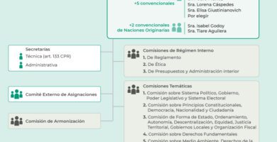 que normas aprobo la convencion constituyente en chile