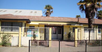 que ofrece el colegio carlos ibanez del campo en linares