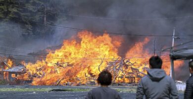 que paso en el incendio forestal en corea del sur