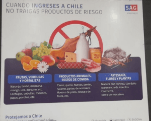 Qué productos puedo comprar en Chile y llevar a Argentina que-productos-puedo-comprar-en-chile-y-llevar-a-argentina