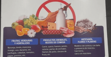 Qué productos puedo comprar en Chile y llevar a Argentina 29 que productos puedo comprar en chile y llevar a argentina
