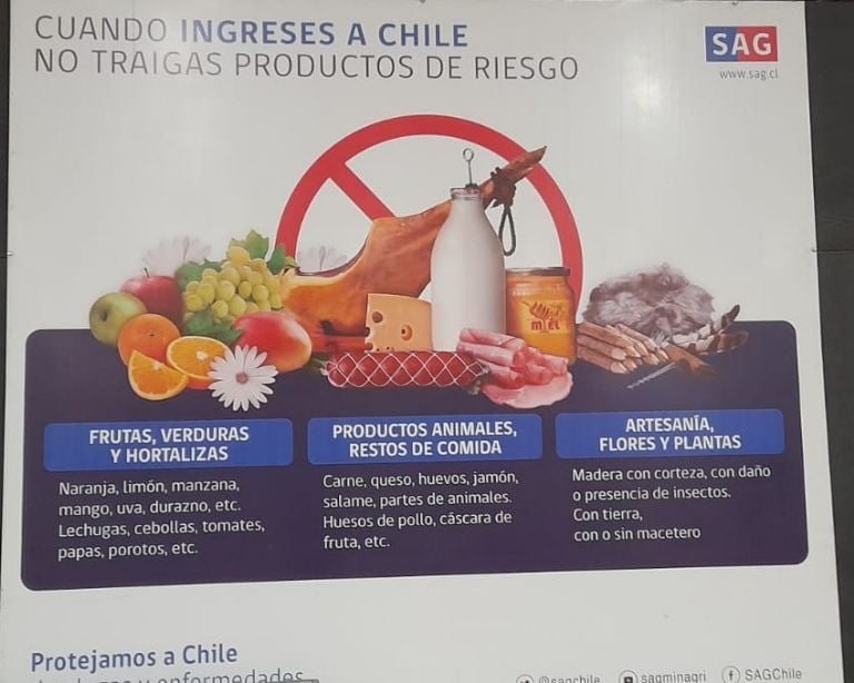 Qué productos puedo comprar en Chile y llevar a Argentina 1 que productos puedo comprar en chile y llevar a argentina