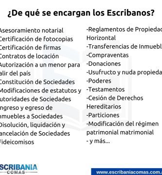 que se estudia primero abogado o escribano