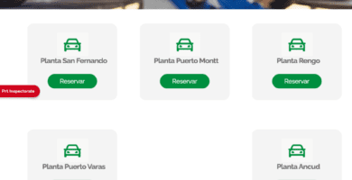 que servicios ofrece inspectorate servicios de inspeccion chile ltda