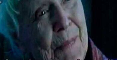 que significa ahora solo vive en mi memoria