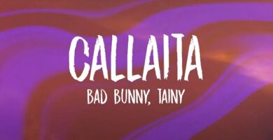 que significa ella ni trata y llama la atencion