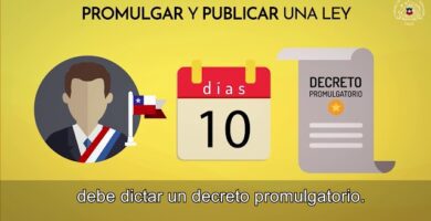 Qué significa promulgar una ley en Chile 9 que significa promulgar una ley en chile