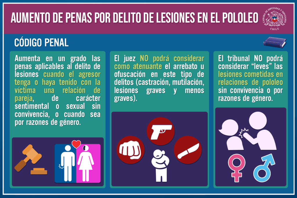 Qué son las lesiones graves según el Código Penal de Chile 1 que son las lesiones graves segun el codigo penal de chile