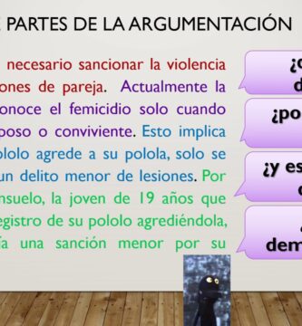 que son los argumentos con tesis base garantia y respaldo