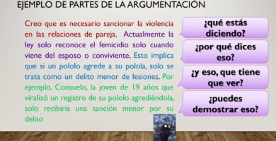 que son los argumentos con tesis base garantia y respaldo